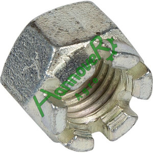 Корончата гайка DIN935-M20 3030136, Lemken